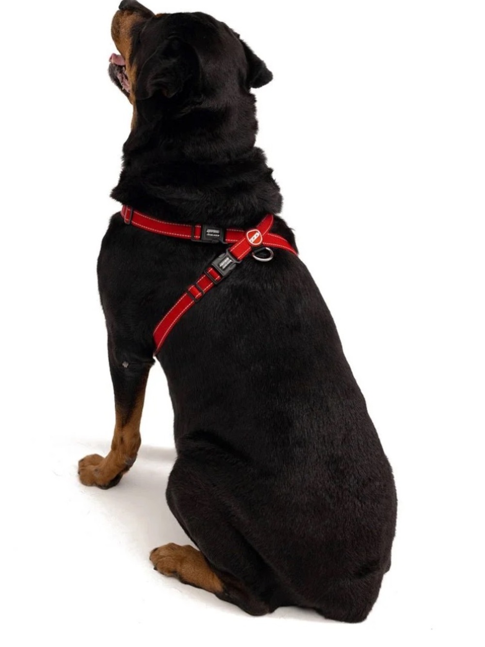 EzyDog Chest Plate Harness Red Medium